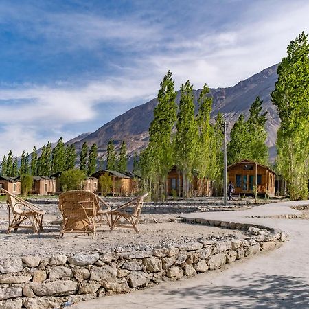 Sumur Nubra Ecolodge מראה חיצוני תמונה